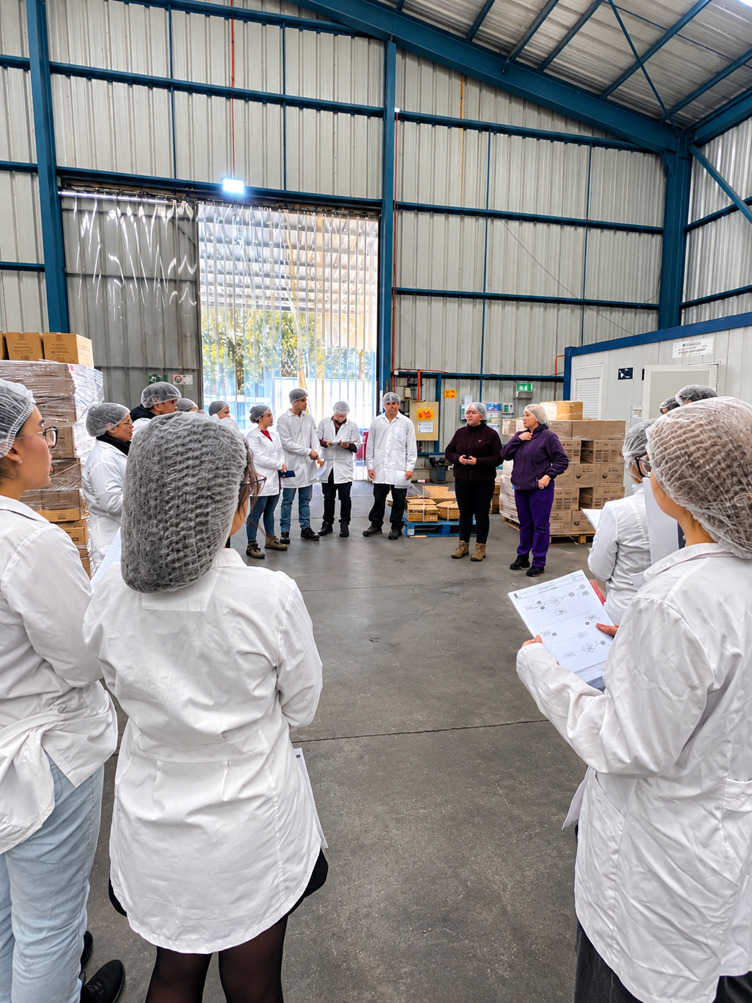 Visita guiada en almacén industrial (1)